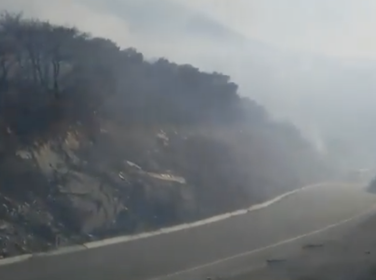 Incendio en Puerto San Luis